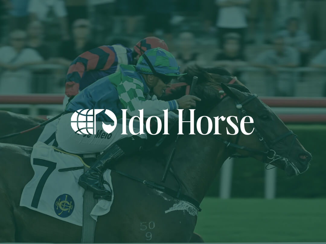 Idol Horse case study