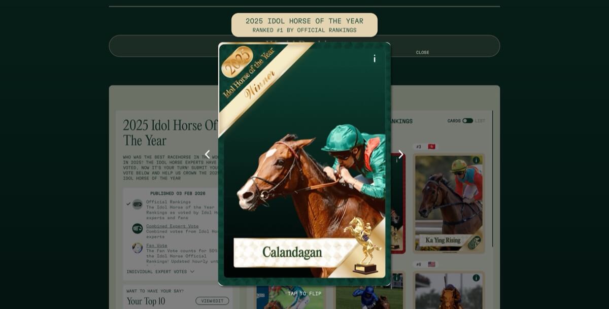 Interactive Card Flip - Calandagan
